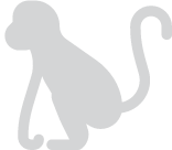 fbr-covid-monkey