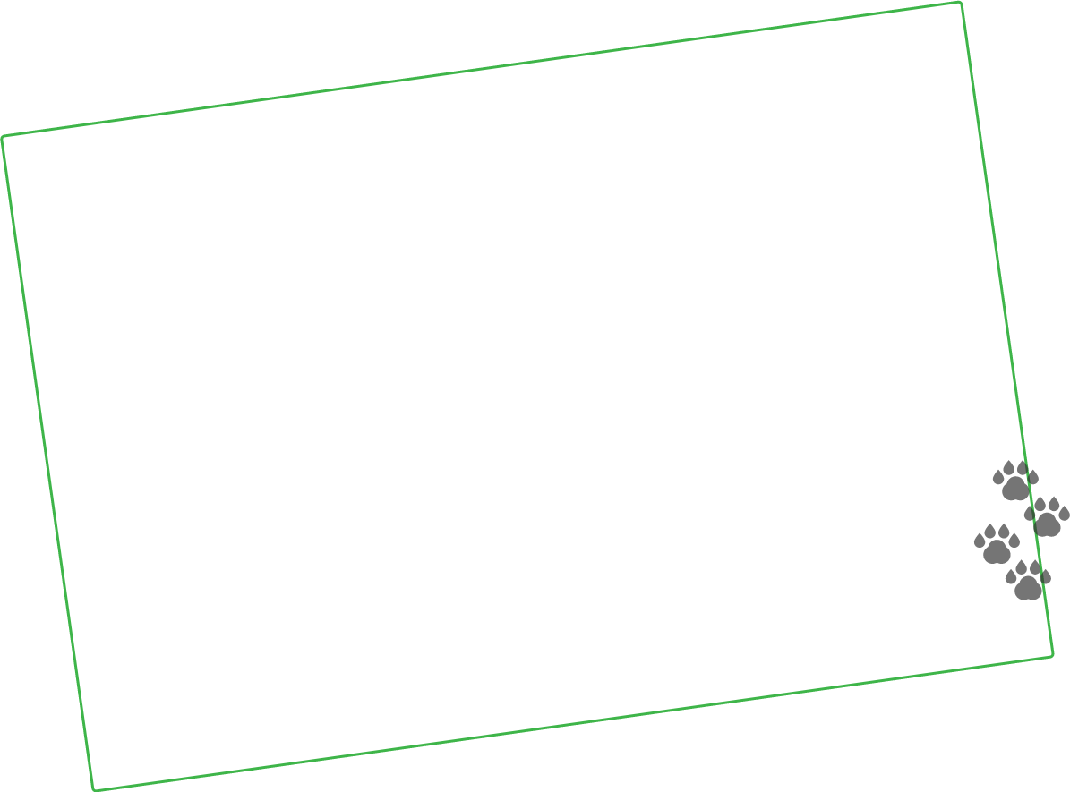 fbr-rectangle-mask